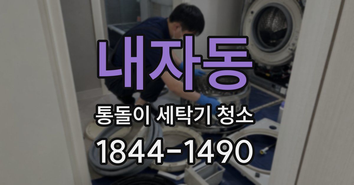 내자동 통돌이 세탁기 청소