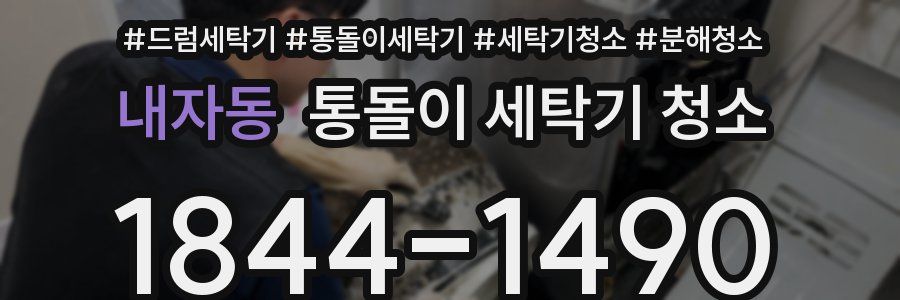 내자동 통돌이 세탁기 청소