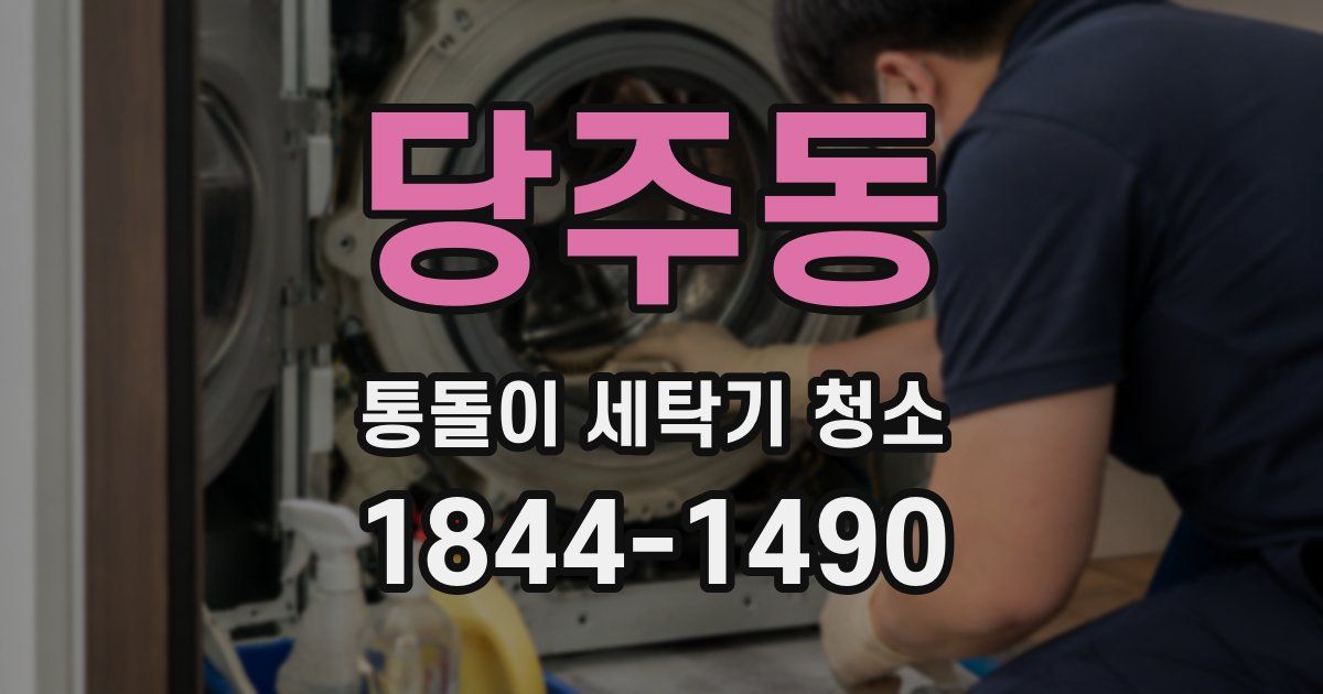 당주동 통돌이 세탁기 청소