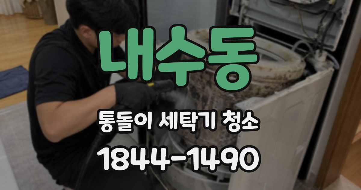 내수동 통돌이 세탁기 청소
