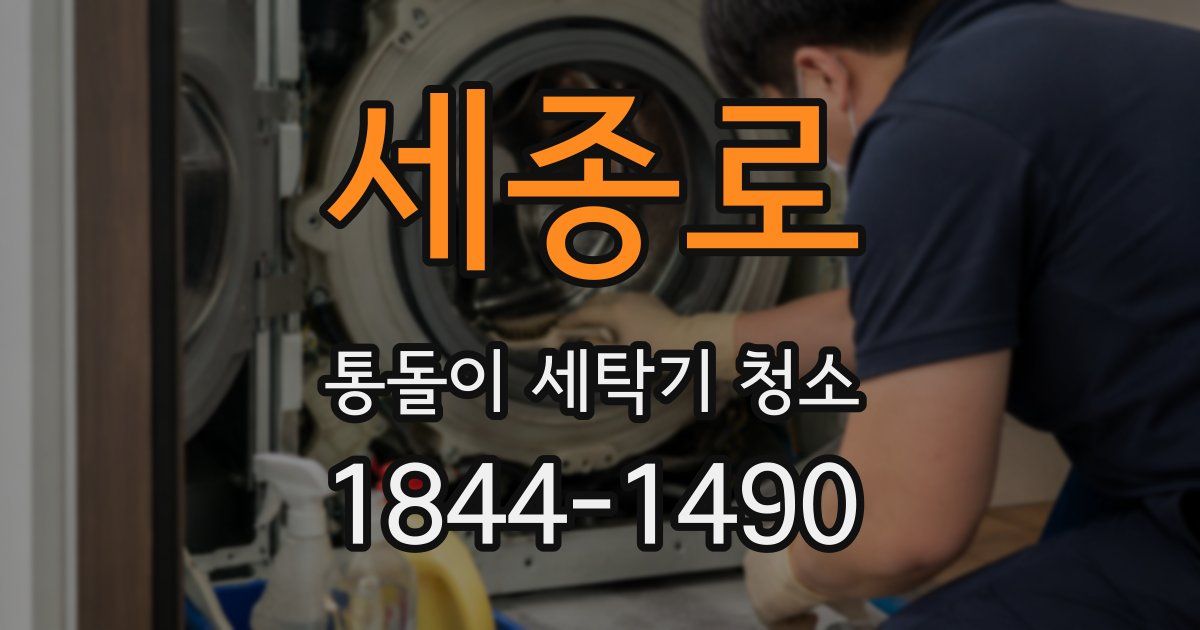 세종로 통돌이 세탁기 청소