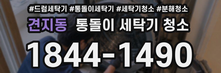 견지동 통돌이 세탁기 청소