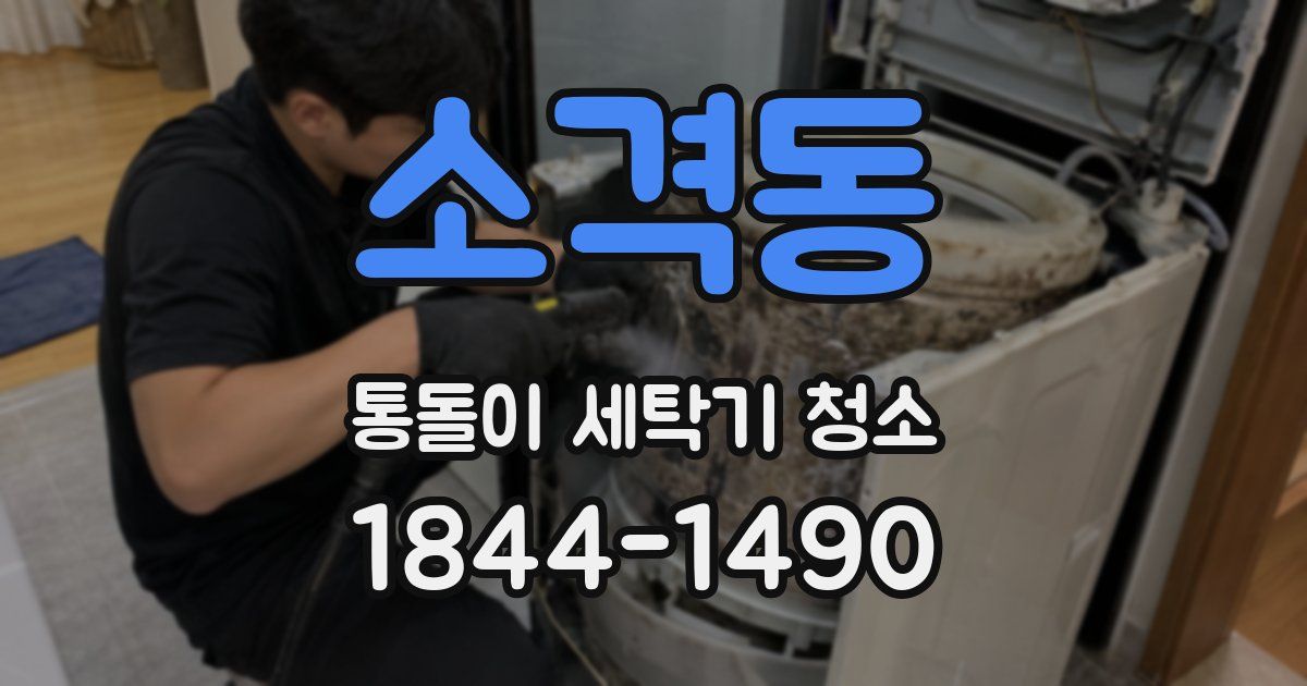 소격동 통돌이 세탁기 청소