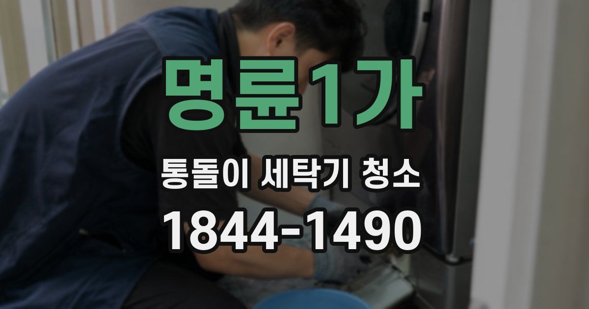 명륜1가 통돌이 세탁기 청소