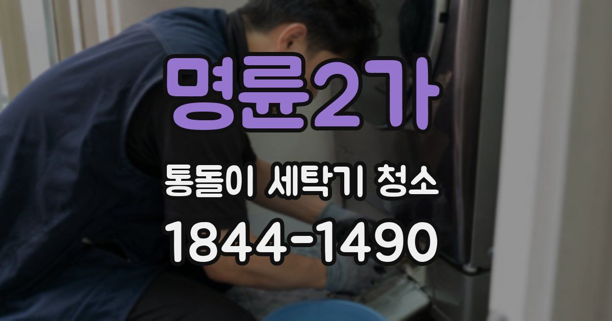 명륜2가 통돌이 세탁기 청소