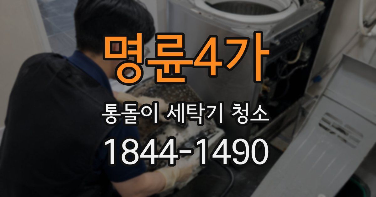 명륜4가 통돌이 세탁기 청소