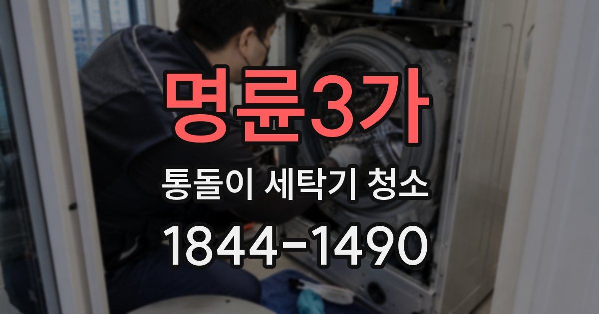 명륜3가 통돌이 세탁기 청소