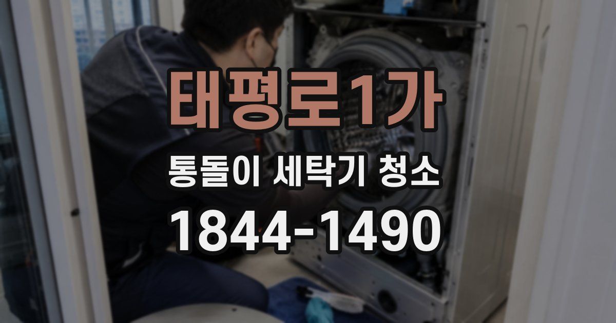 태평로1가 통돌이 세탁기 청소