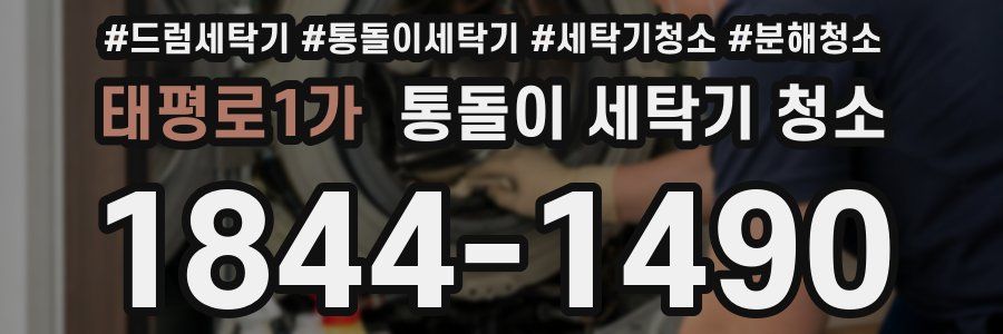 태평로1가 통돌이 세탁기 청소