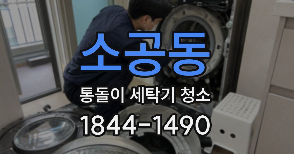 소공동 통돌이 세탁기 청소