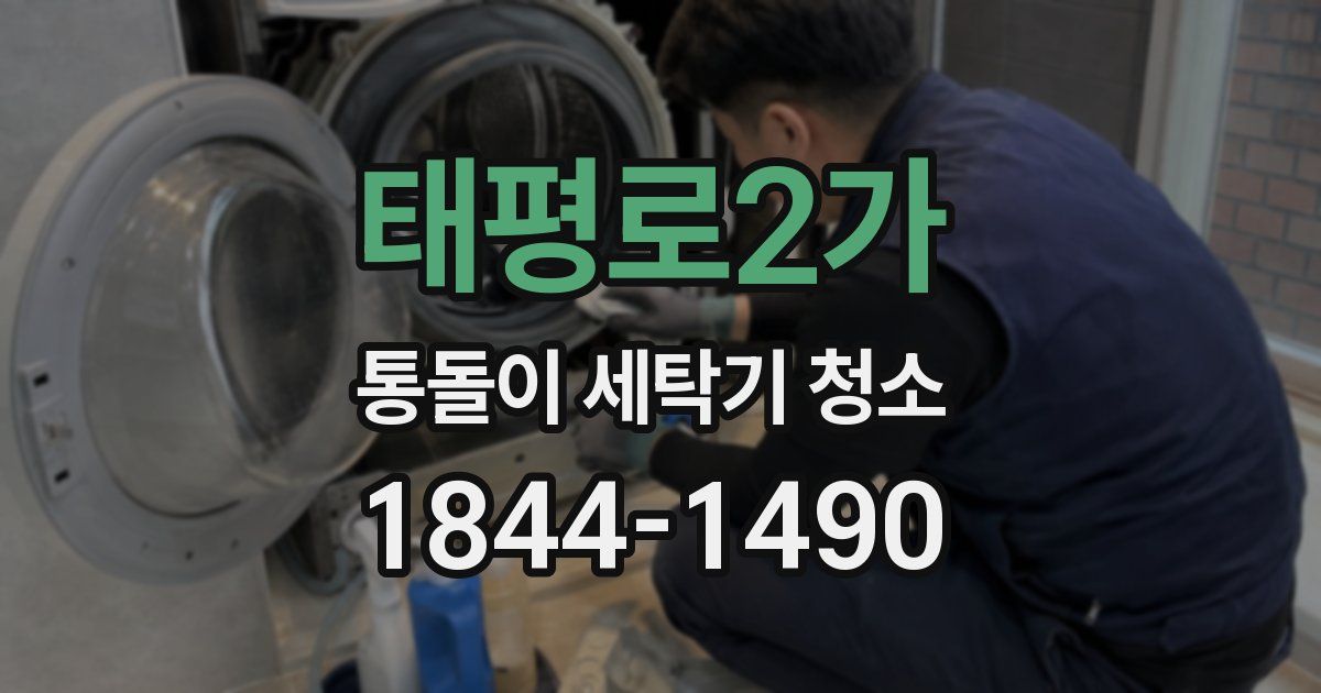 태평로2가 통돌이 세탁기 청소