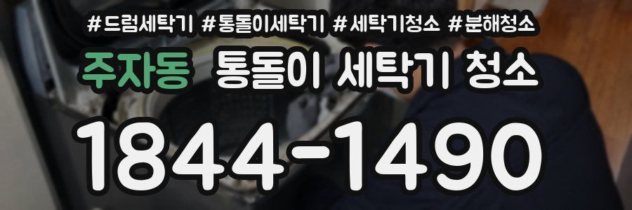 주자동 통돌이 세탁기 청소
