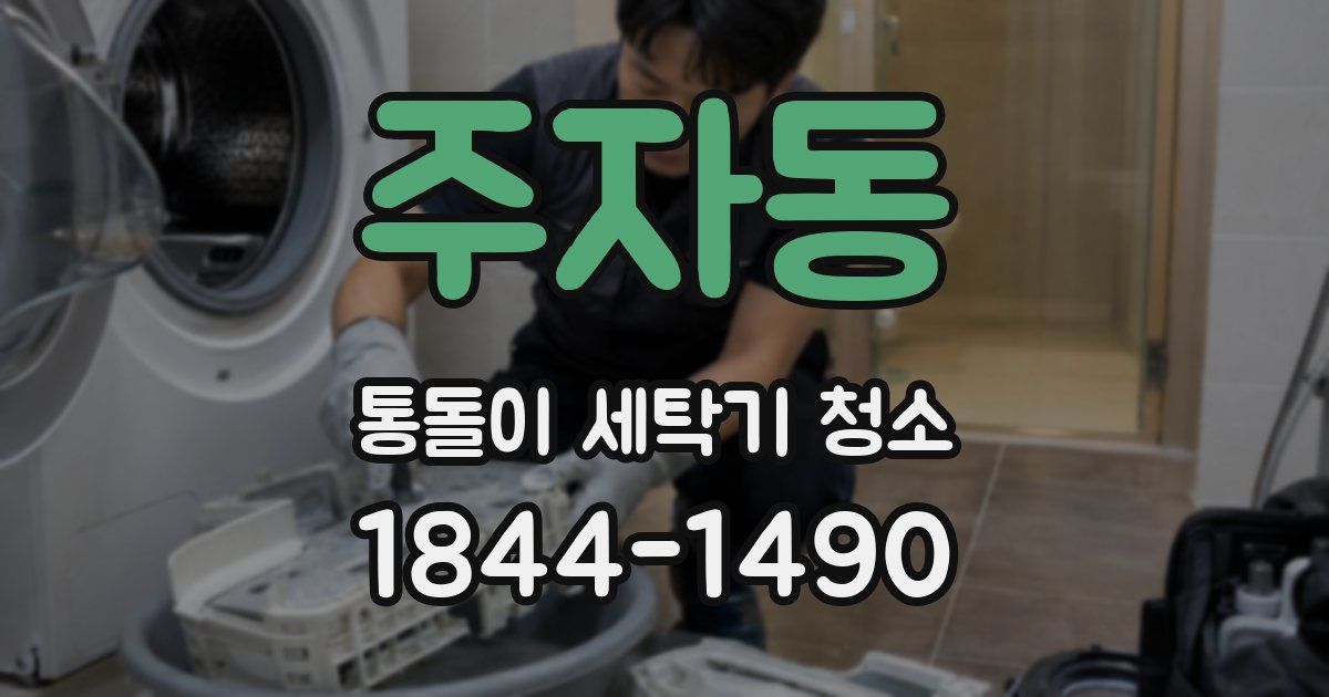 주자동 통돌이 세탁기 청소