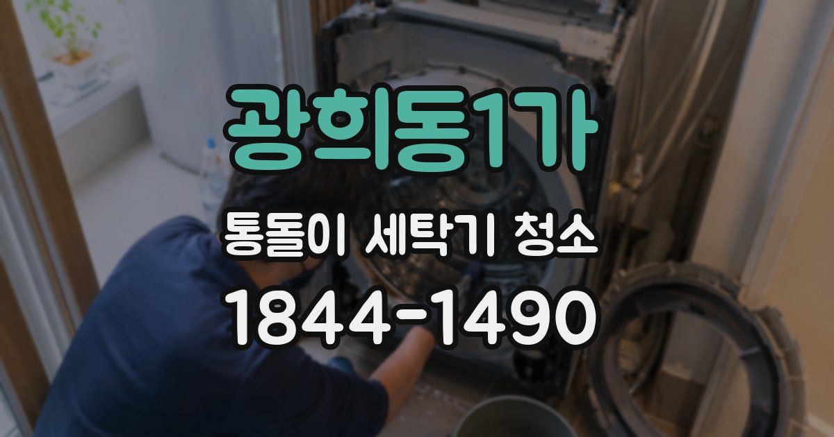 광희동1가 통돌이 세탁기 청소