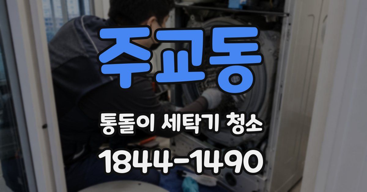 주교동 통돌이 세탁기 청소