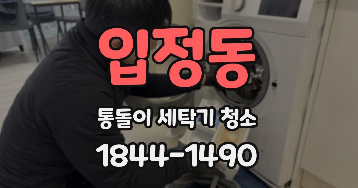 입정동 통돌이 세탁기 청소