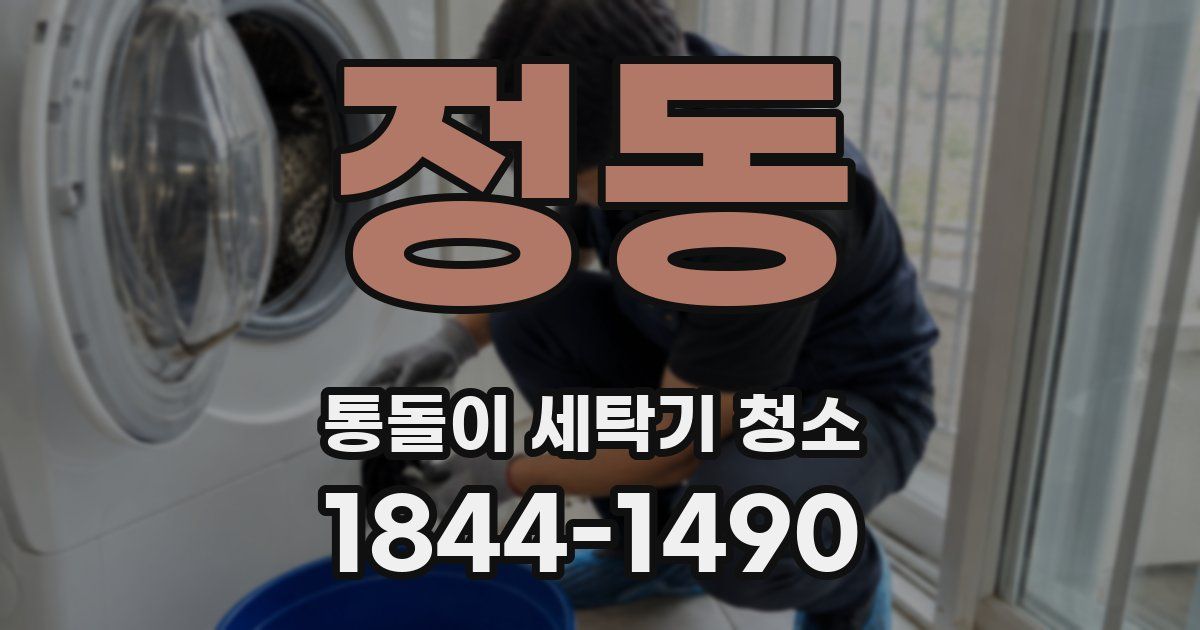 정동 통돌이 세탁기 청소
