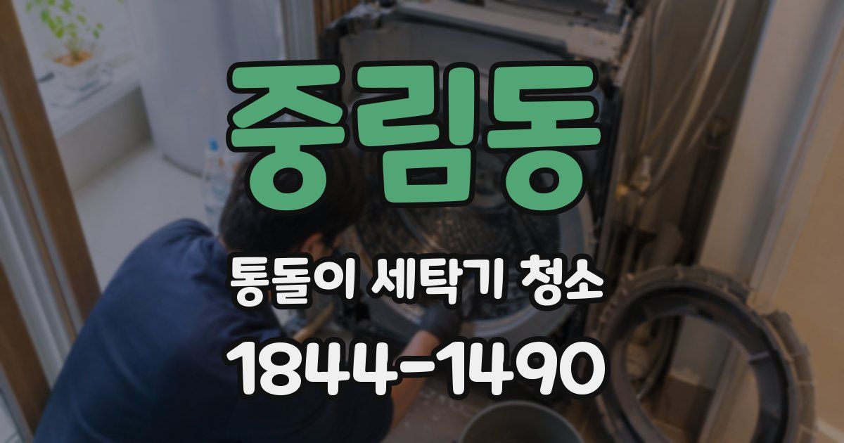 중림동 통돌이 세탁기 청소