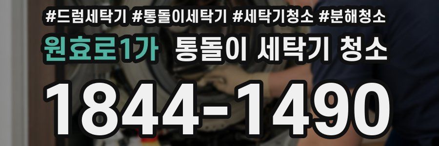 원효로1가 통돌이 세탁기 청소