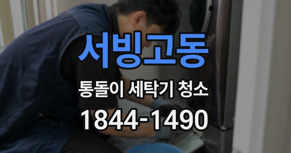 서빙고동 통돌이 세탁기 청소