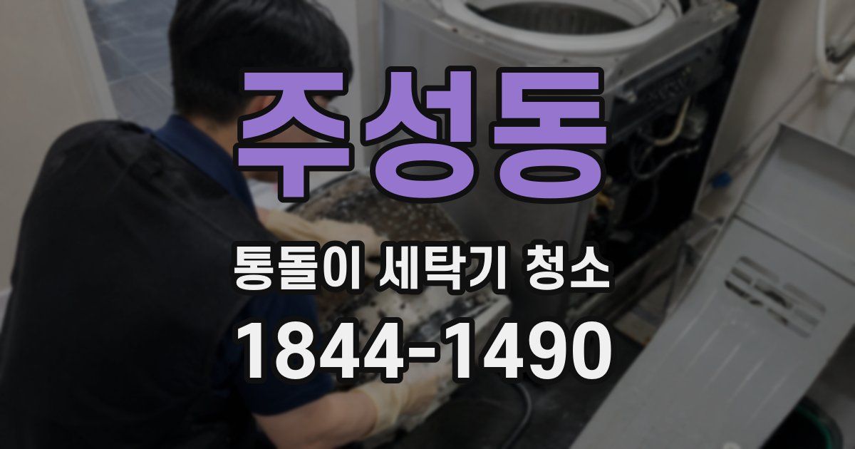 주성동 통돌이 세탁기 청소