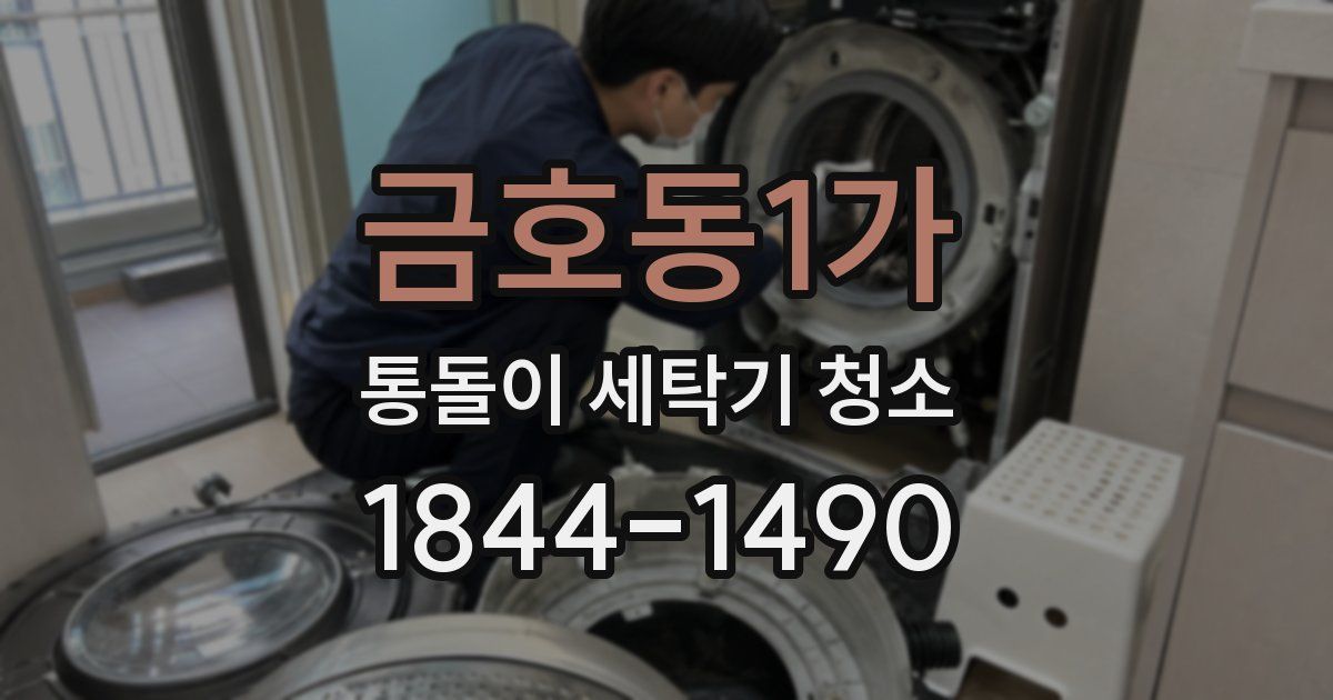 금호동1가 통돌이 세탁기 청소