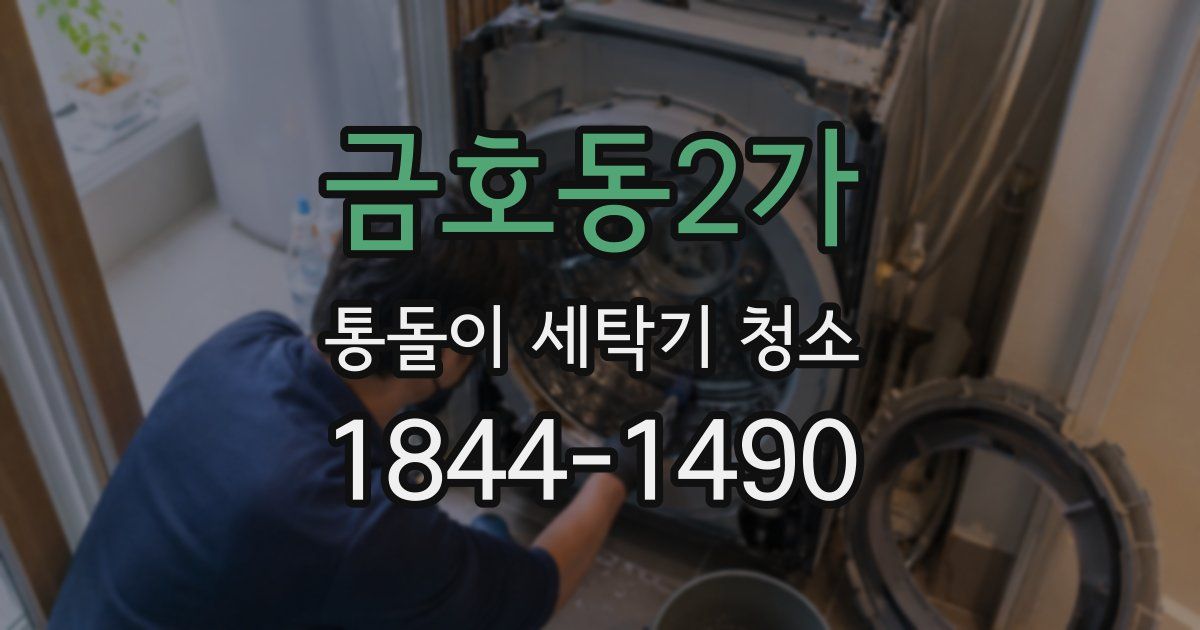 금호동2가 통돌이 세탁기 청소