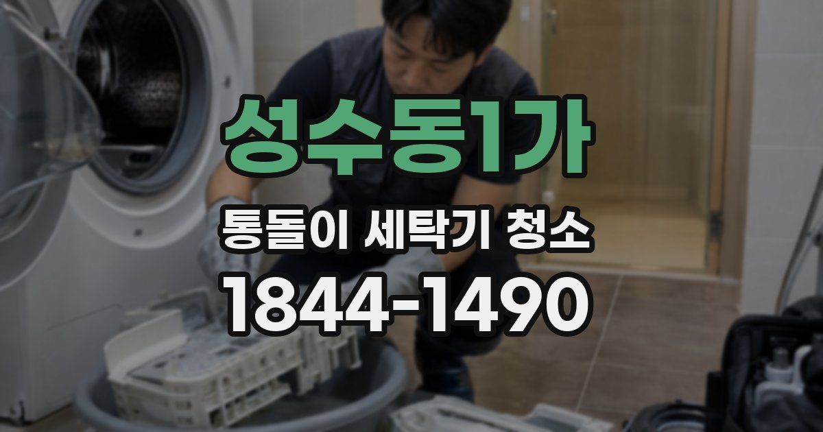 성수동1가 통돌이 세탁기 청소