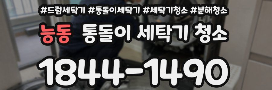 능동 통돌이 세탁기 청소