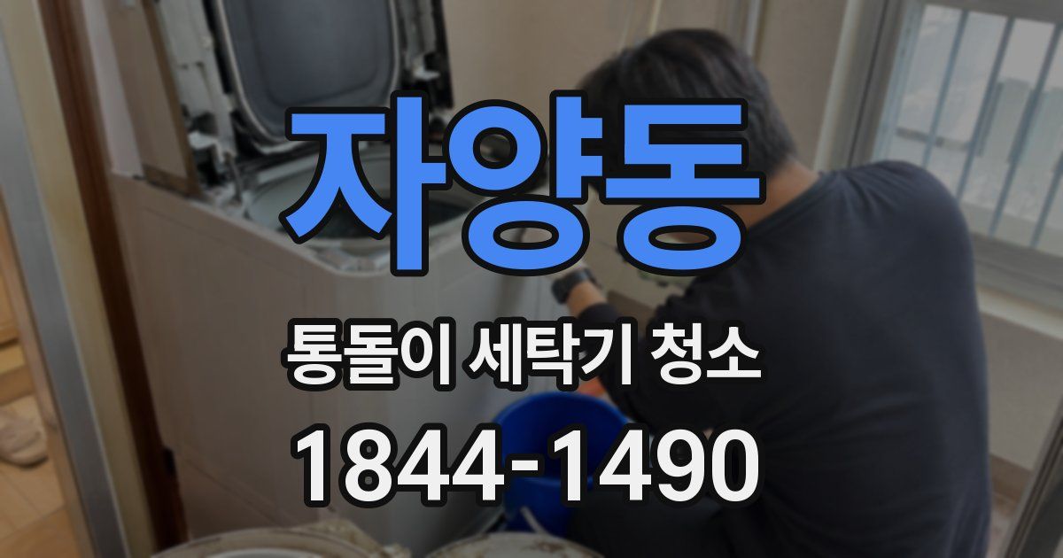자양동 통돌이 세탁기 청소