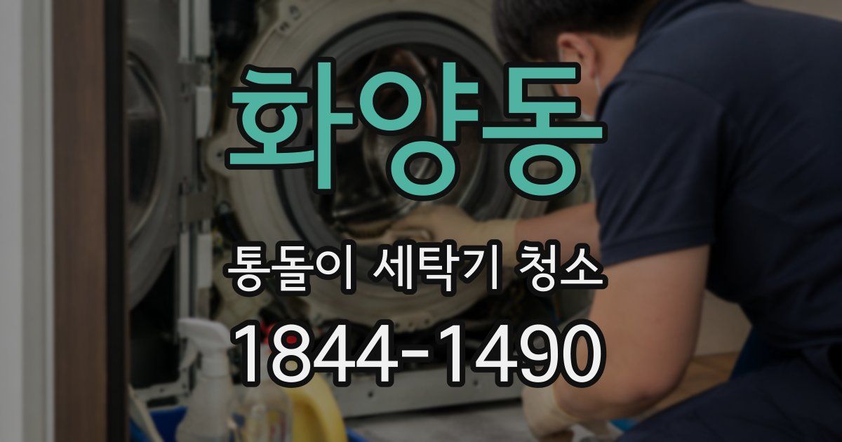 화양동 통돌이 세탁기 청소