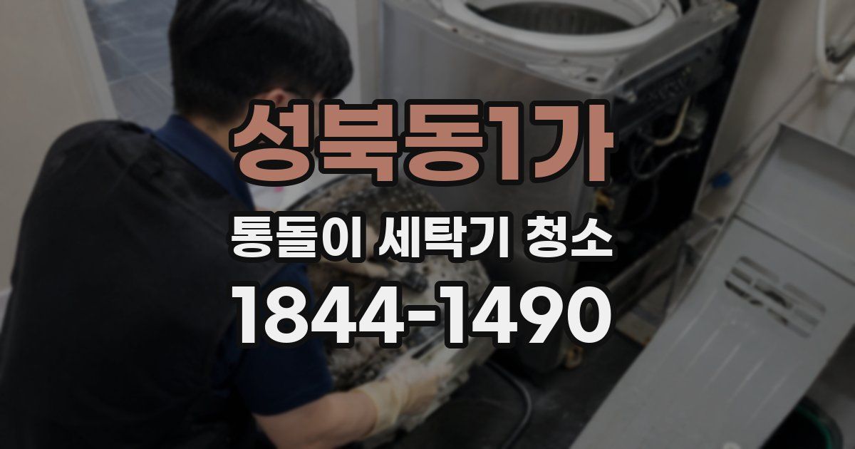 성북동1가 통돌이 세탁기 청소