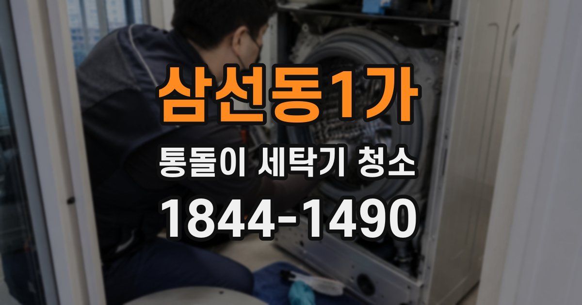 삼선동1가 통돌이 세탁기 청소