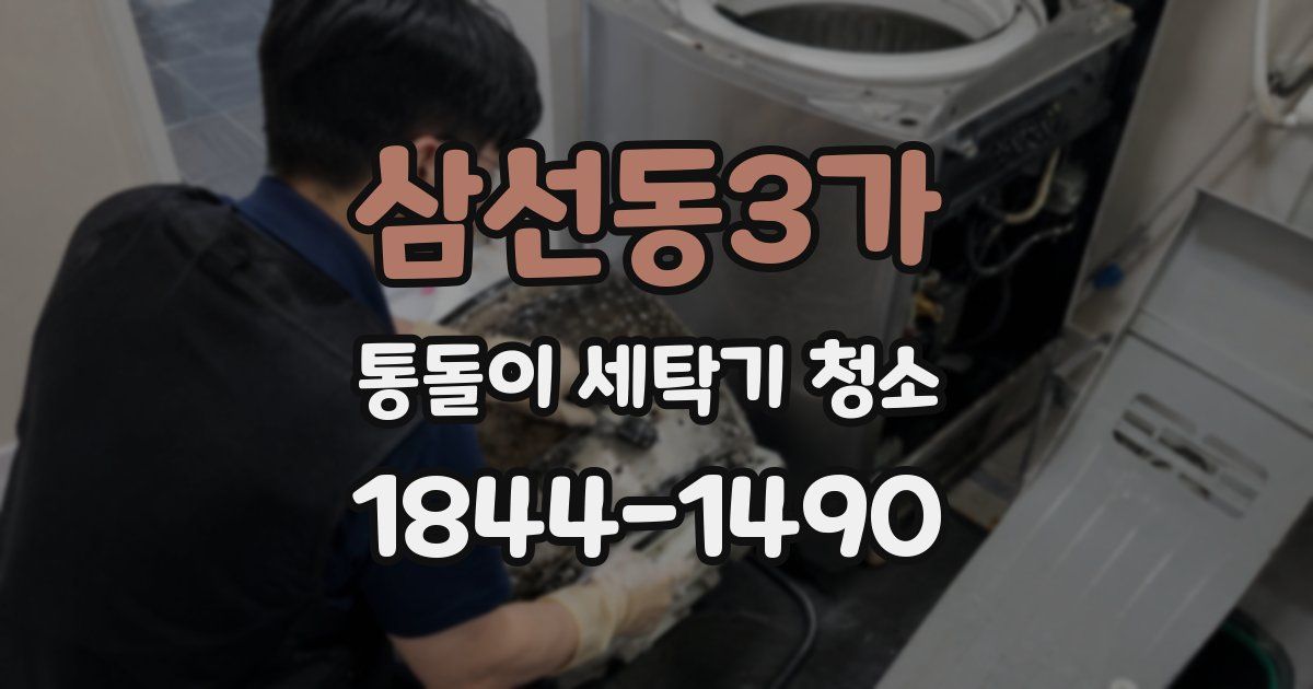 삼선동3가 통돌이 세탁기 청소