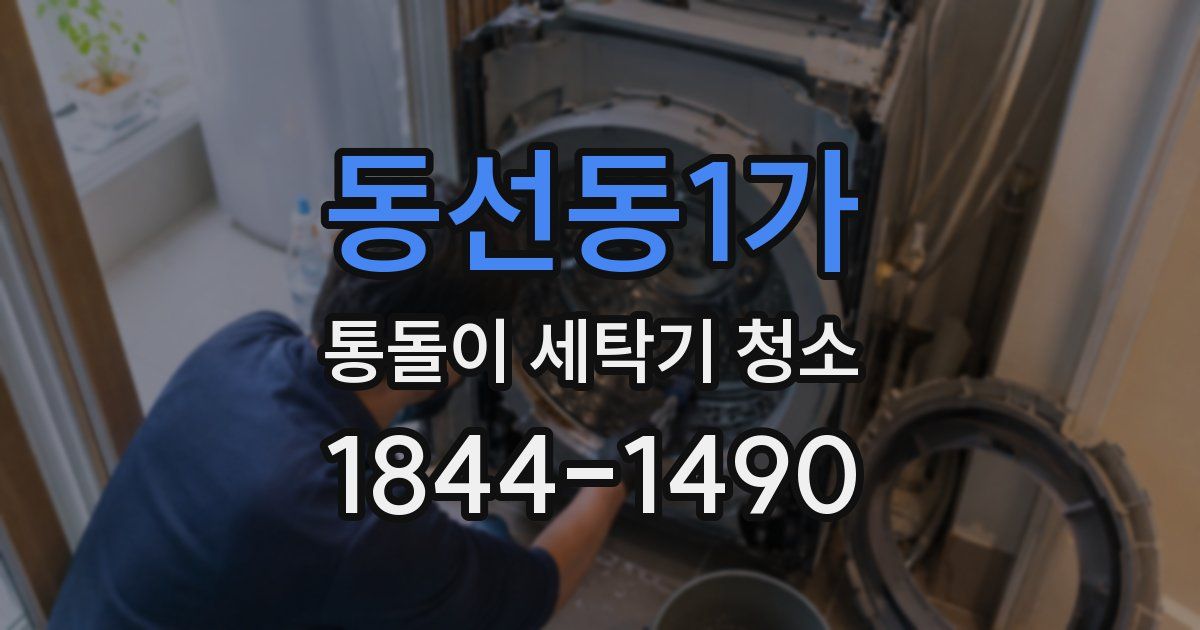 동선동1가 통돌이 세탁기 청소