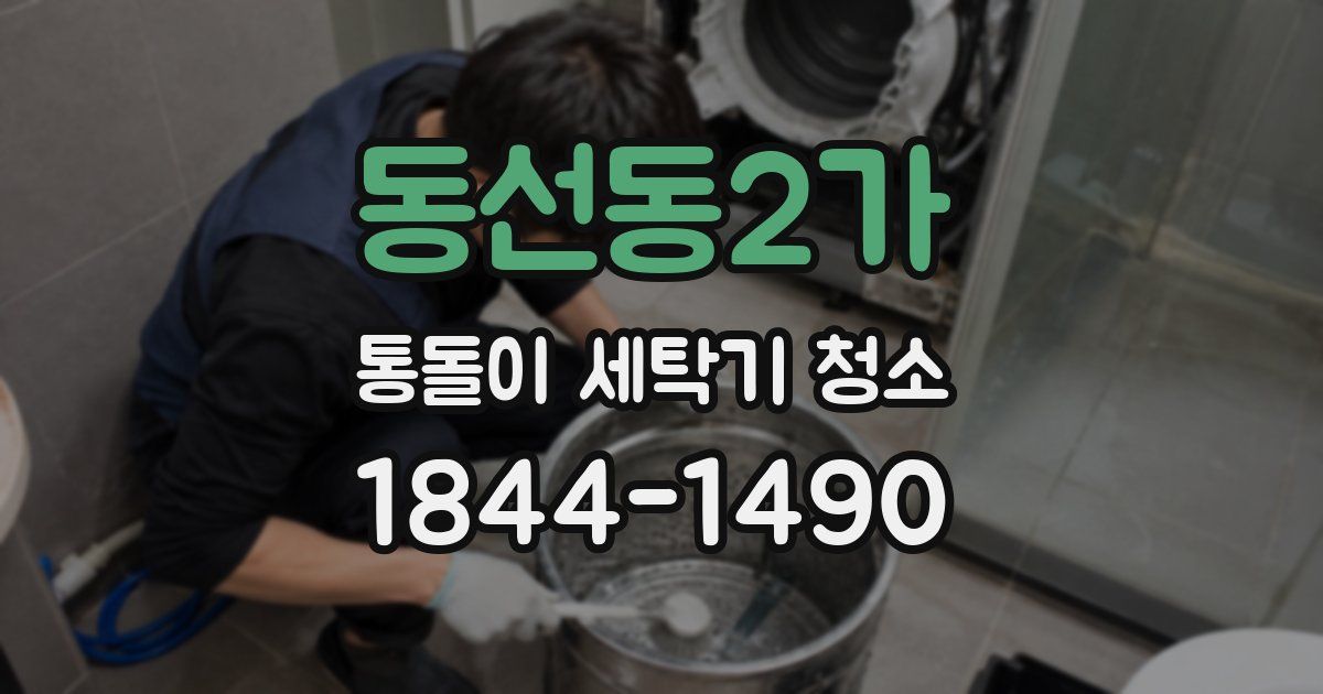 동선동2가 통돌이 세탁기 청소