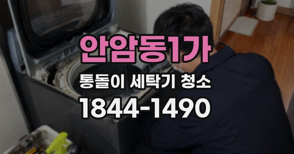 안암동1가 통돌이 세탁기 청소