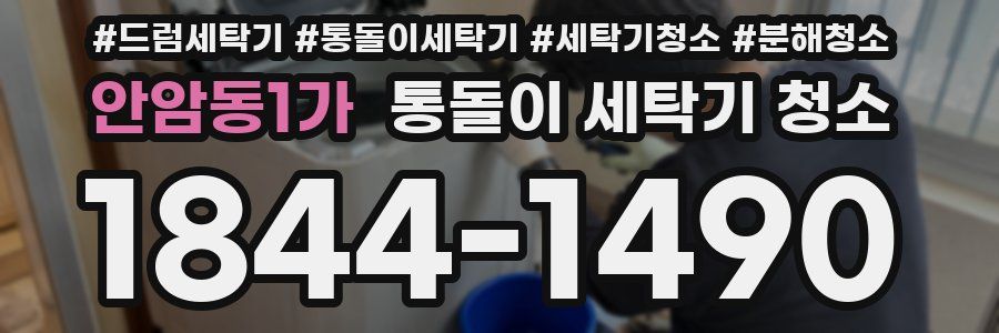 안암동1가 통돌이 세탁기 청소
