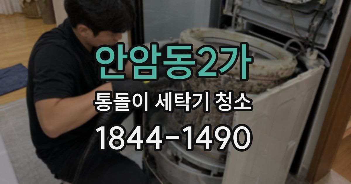 안암동2가 통돌이 세탁기 청소