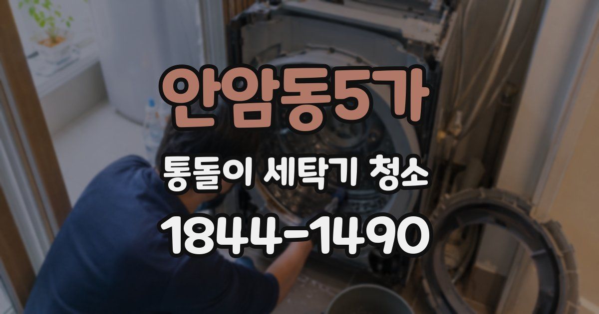 안암동5가 통돌이 세탁기 청소
