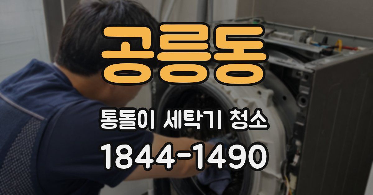 공릉동 통돌이 세탁기 청소