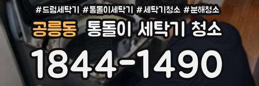 공릉동 통돌이 세탁기 청소