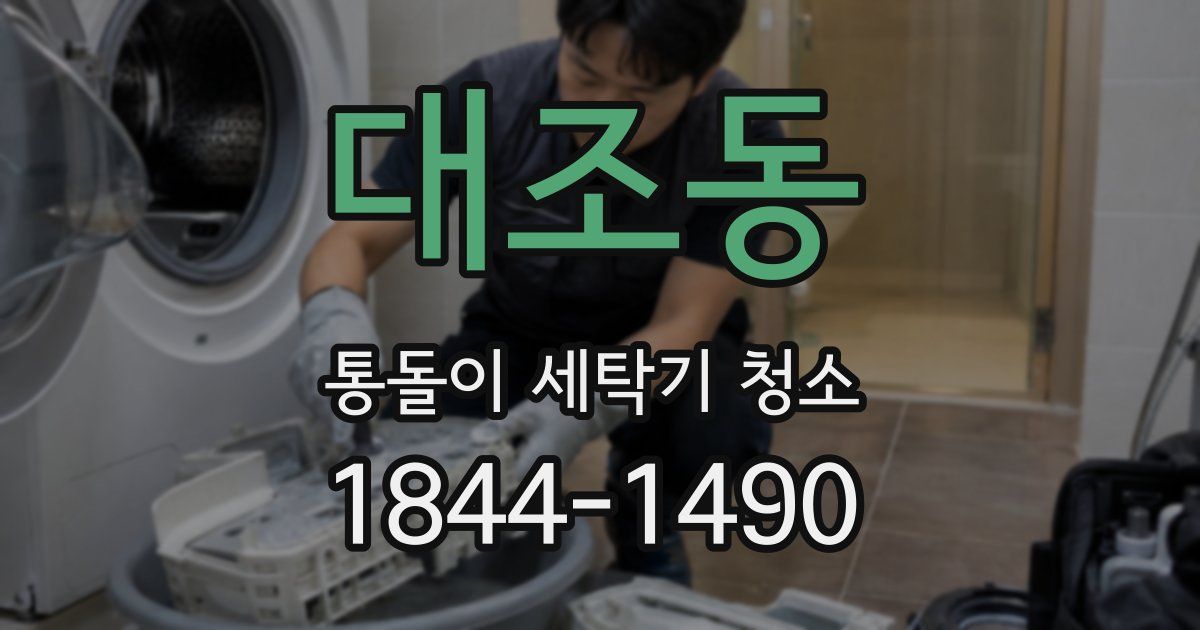 대조동 통돌이 세탁기 청소