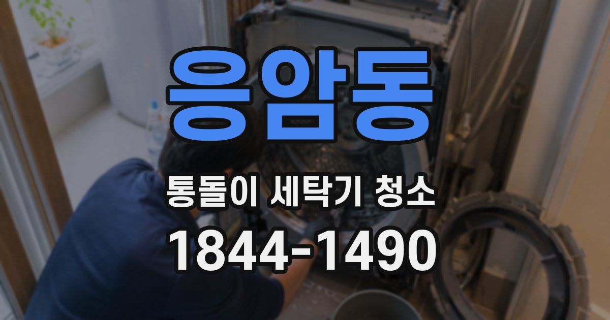 응암동 통돌이 세탁기 청소