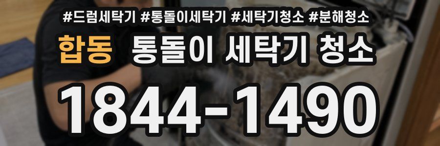 합동 통돌이 세탁기 청소