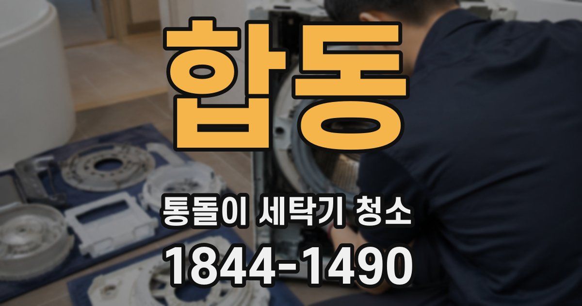 합동 통돌이 세탁기 청소