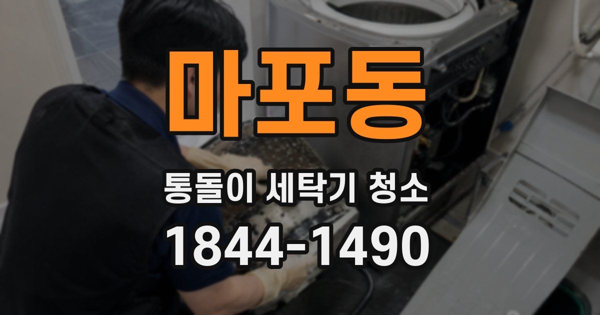 마포동 통돌이 세탁기 청소