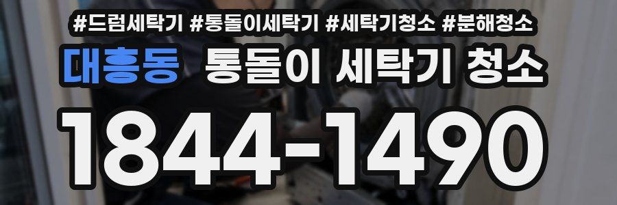 대흥동 통돌이 세탁기 청소