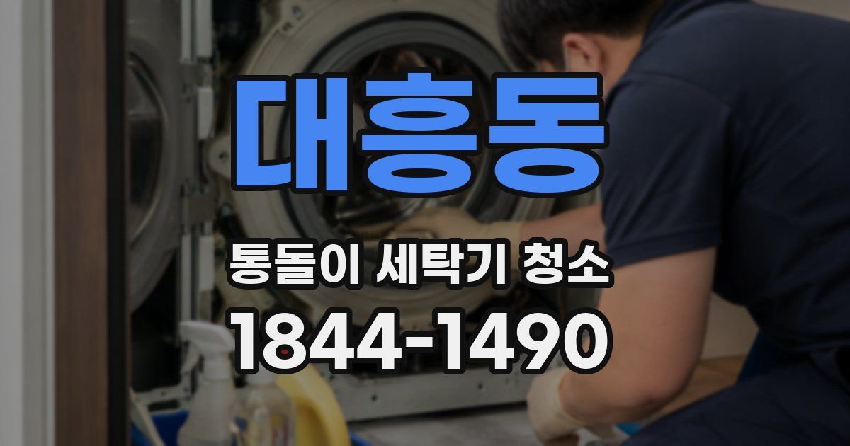 대흥동 통돌이 세탁기 청소