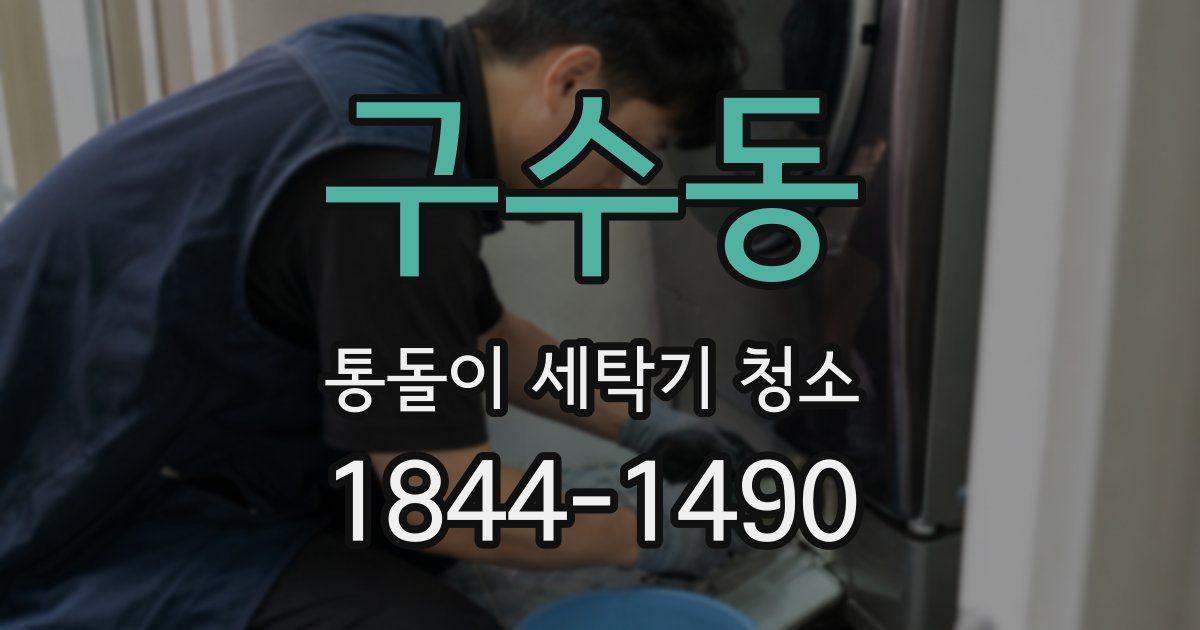 구수동 통돌이 세탁기 청소